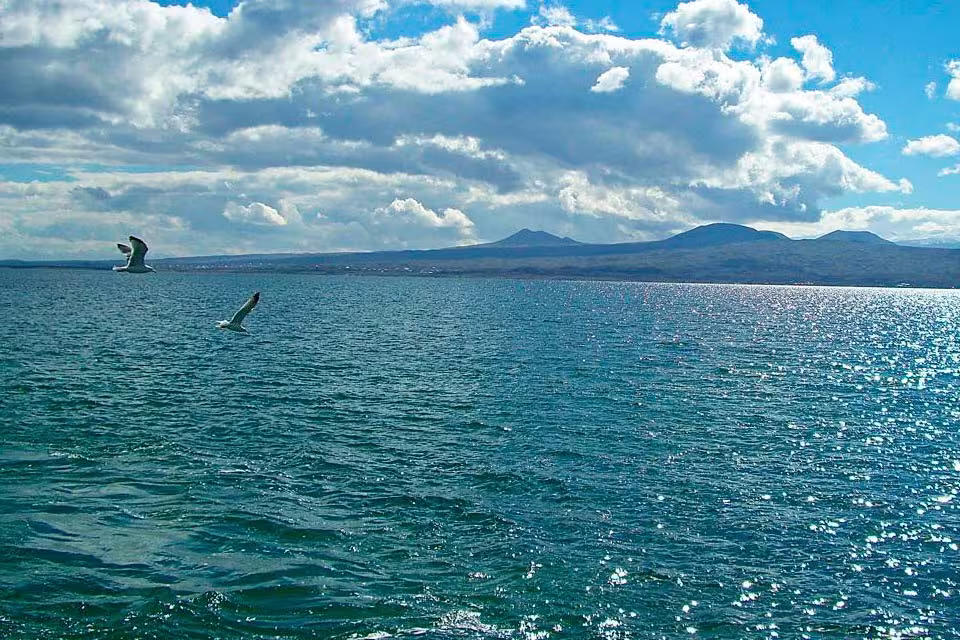 La date limite pour la pêche commerciale dans le Sevan est fixée au 1er juin